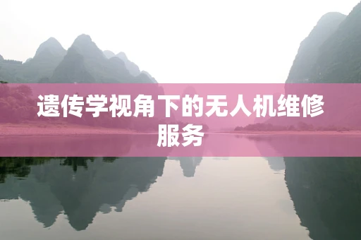 遗传学视角下的无人机维修服务