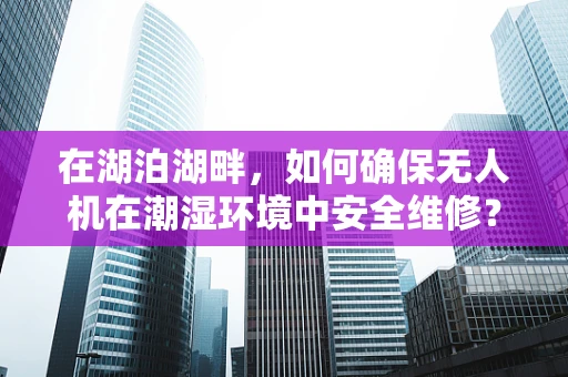 在湖泊湖畔，如何确保无人机在潮湿环境中安全维修？