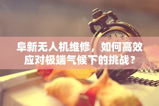 阜新无人机维修，如何高效应对极端气候下的挑战？
