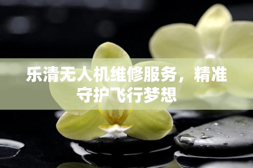 乐清无人机维修服务，精准守护飞行梦想