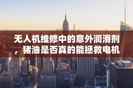 无人机维修中的意外润滑剂，猪油是否真的能拯救电机？