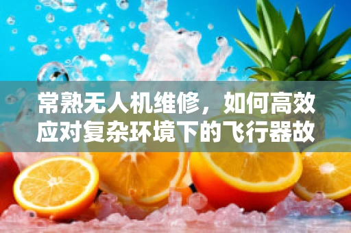 常熟无人机维修，如何高效应对复杂环境下的飞行器故障？