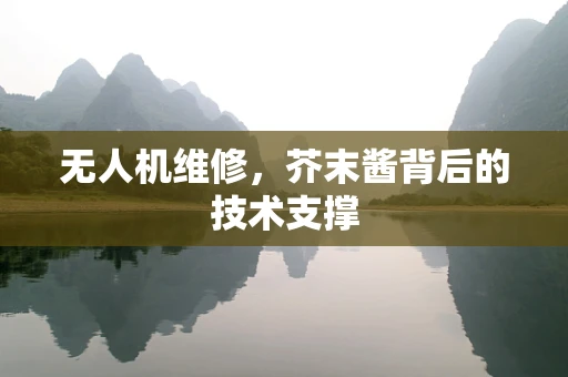 无人机维修，芥末酱背后的技术支撑