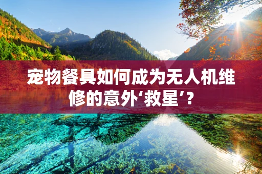宠物餐具如何成为无人机维修的意外‘救星’？