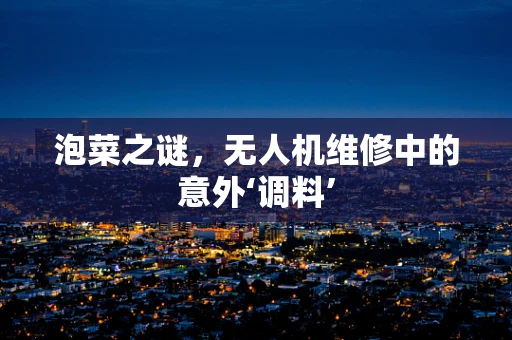 泡菜之谜，无人机维修中的意外‘调料’