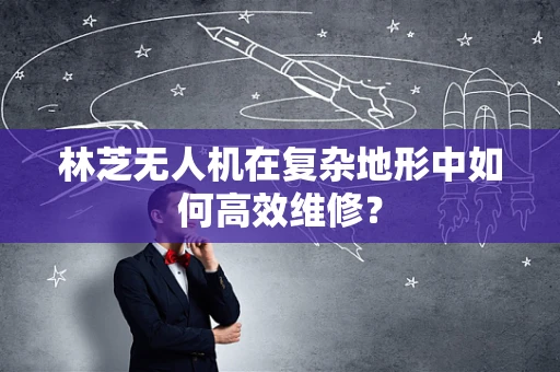 林芝无人机在复杂地形中如何高效维修？