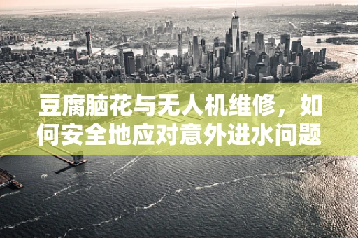 豆腐脑花与无人机维修，如何安全地应对意外进水问题？