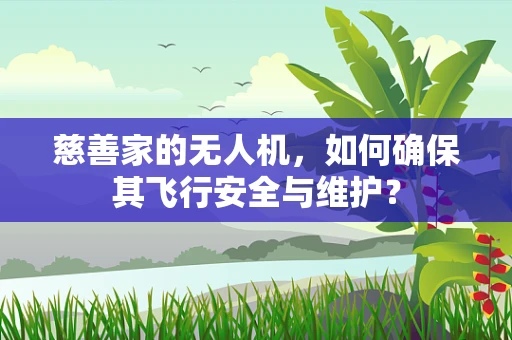慈善家的无人机，如何确保其飞行安全与维护？