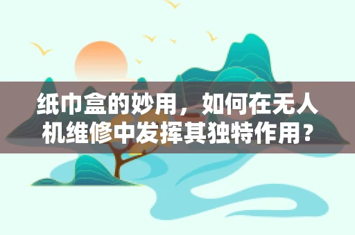 纸巾盒的妙用，如何在无人机维修中发挥其独特作用？