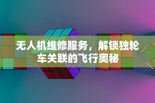 无人机维修服务，解锁独轮车关联的飞行奥秘
