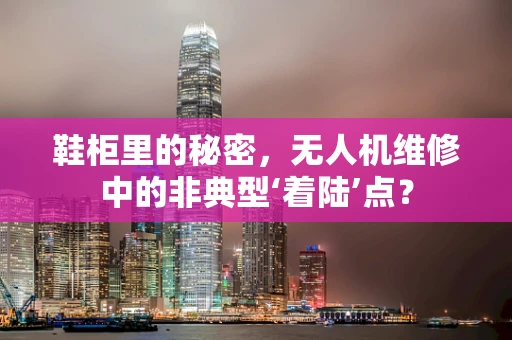 鞋柜里的秘密，无人机维修中的非典型‘着陆’点？