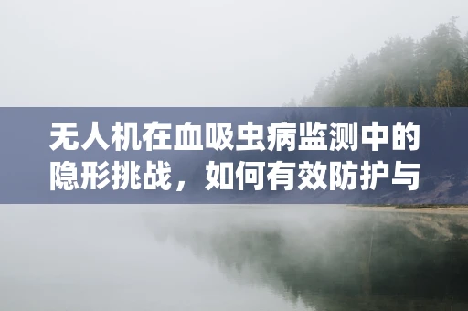 无人机在血吸虫病监测中的隐形挑战，如何有效防护与维修？