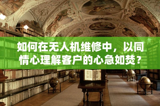 如何在无人机维修中，以同情心理解客户的心急如焚？
