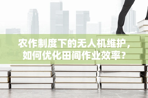 农作制度下的无人机维护，如何优化田间作业效率？