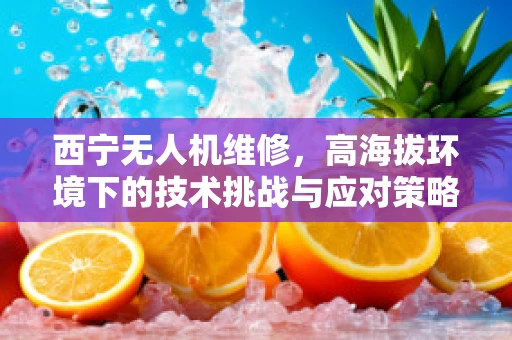 西宁无人机维修，高海拔环境下的技术挑战与应对策略