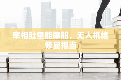 宰相肚里能撑船，无人机维修显担当