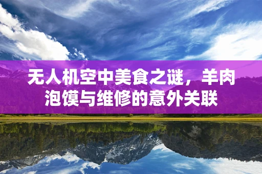 无人机空中美食之谜，羊肉泡馍与维修的意外关联