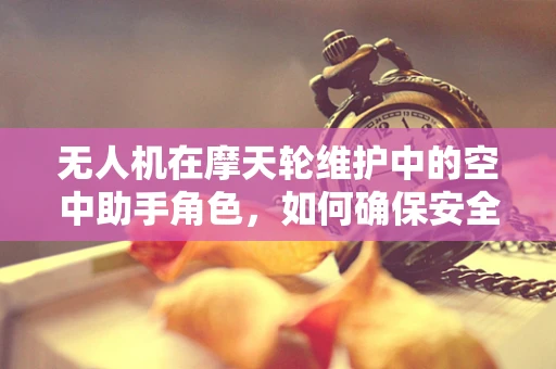 无人机在摩天轮维护中的空中助手角色，如何确保安全无虞？