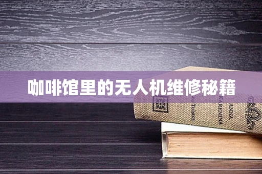 咖啡馆里的无人机维修秘籍