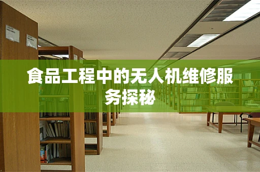 食品工程中的无人机维修服务探秘