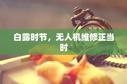白露时节，无人机维修正当时