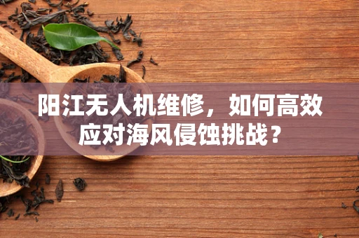 阳江无人机维修，如何高效应对海风侵蚀挑战？