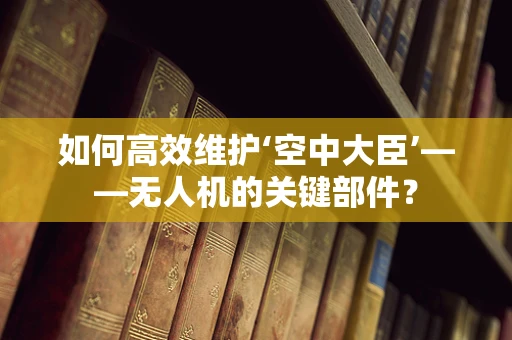 如何高效维护‘空中大臣’——无人机的关键部件？