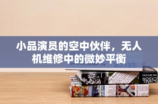 小品演员的空中伙伴，无人机维修中的微妙平衡