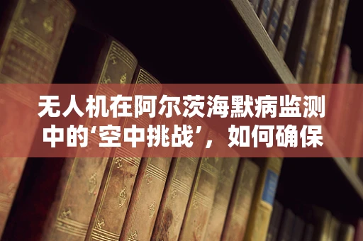 无人机在阿尔茨海默病监测中的‘空中挑战’，如何确保其稳定运行？