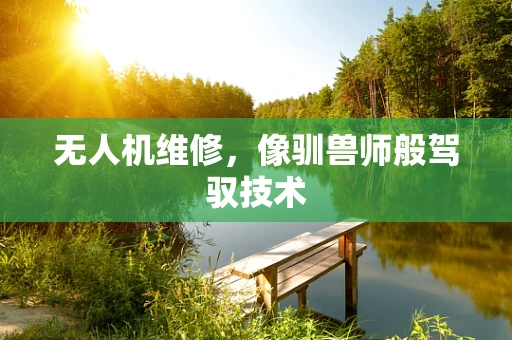 无人机维修，像驯兽师般驾驭技术