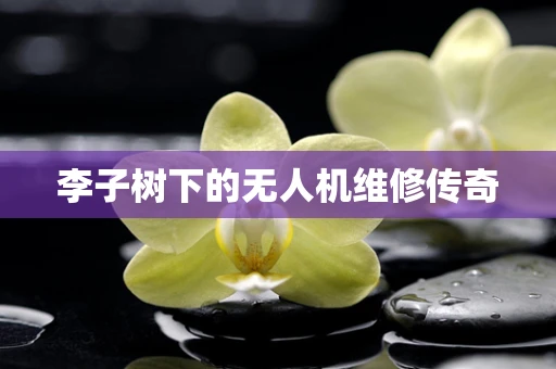 李子树下的无人机维修传奇