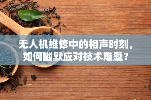 无人机维修中的相声时刻，如何幽默应对技术难题？