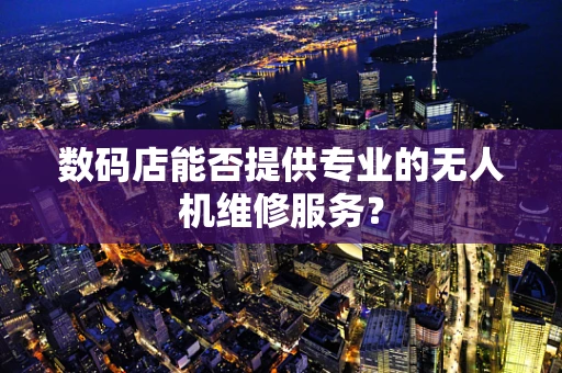 数码店能否提供专业的无人机维修服务？