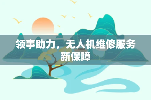 领事助力，无人机维修服务新保障