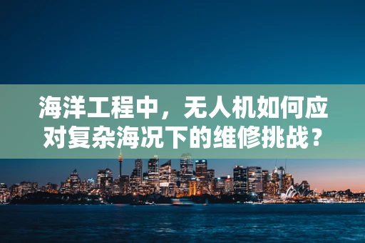 海洋工程中，无人机如何应对复杂海况下的维修挑战？