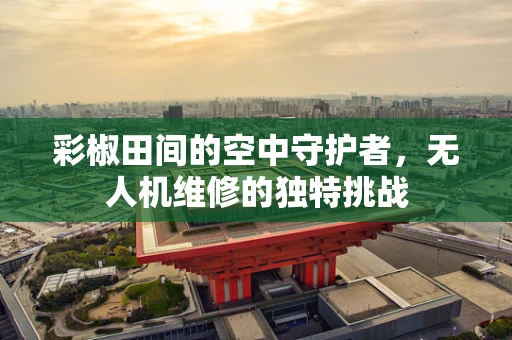 彩椒田间的空中守护者，无人机维修的独特挑战