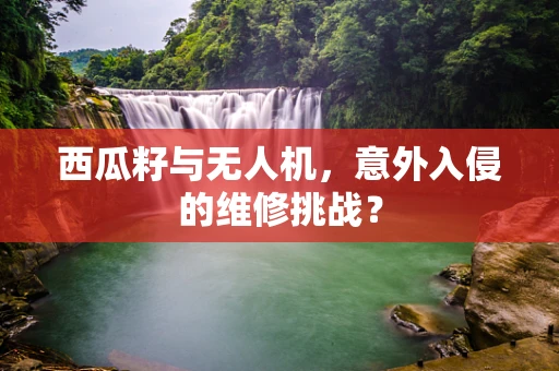 西瓜籽与无人机，意外入侵的维修挑战？