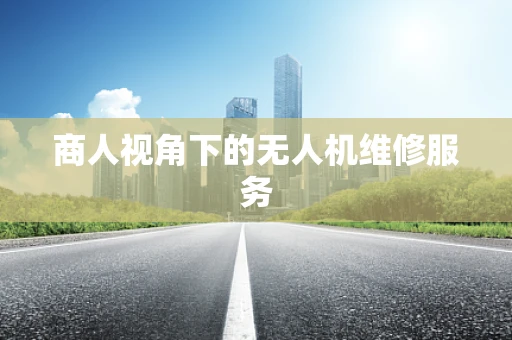 商人视角下的无人机维修服务