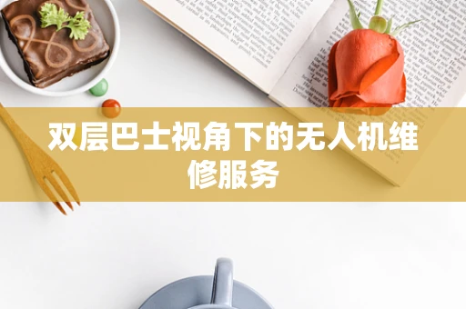 双层巴士视角下的无人机维修服务
