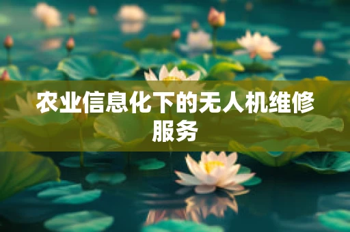 农业信息化下的无人机维修服务