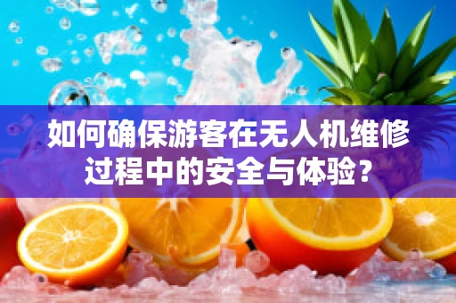 如何确保游客在无人机维修过程中的安全与体验？