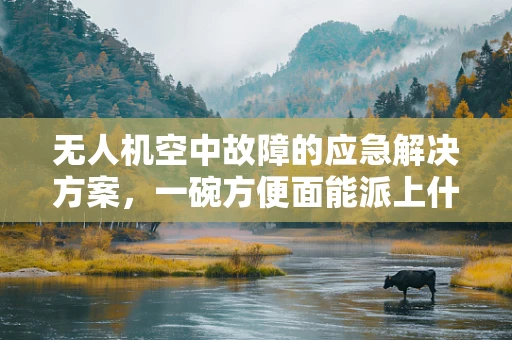 无人机空中故障的应急解决方案，一碗方便面能派上什么用场？