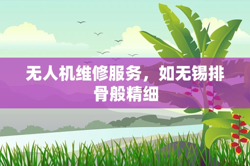 无人机维修服务，如无锡排骨般精细