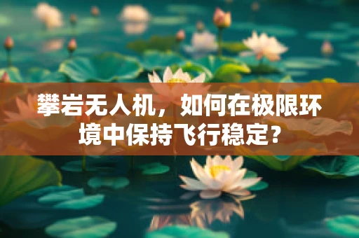 攀岩无人机，如何在极限环境中保持飞行稳定？