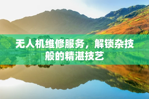 无人机维修服务，解锁杂技般的精湛技艺