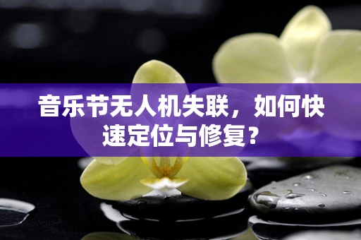 音乐节无人机失联，如何快速定位与修复？