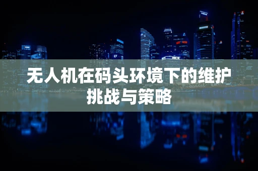 无人机在码头环境下的维护挑战与策略