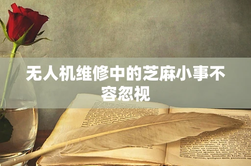 无人机维修中的芝麻小事不容忽视