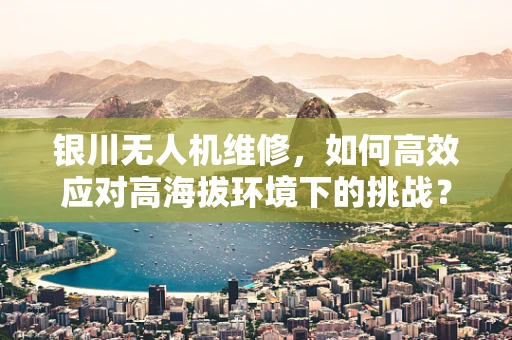 银川无人机维修，如何高效应对高海拔环境下的挑战？