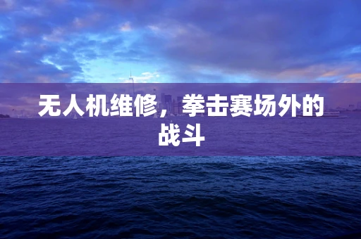 无人机维修，拳击赛场外的战斗